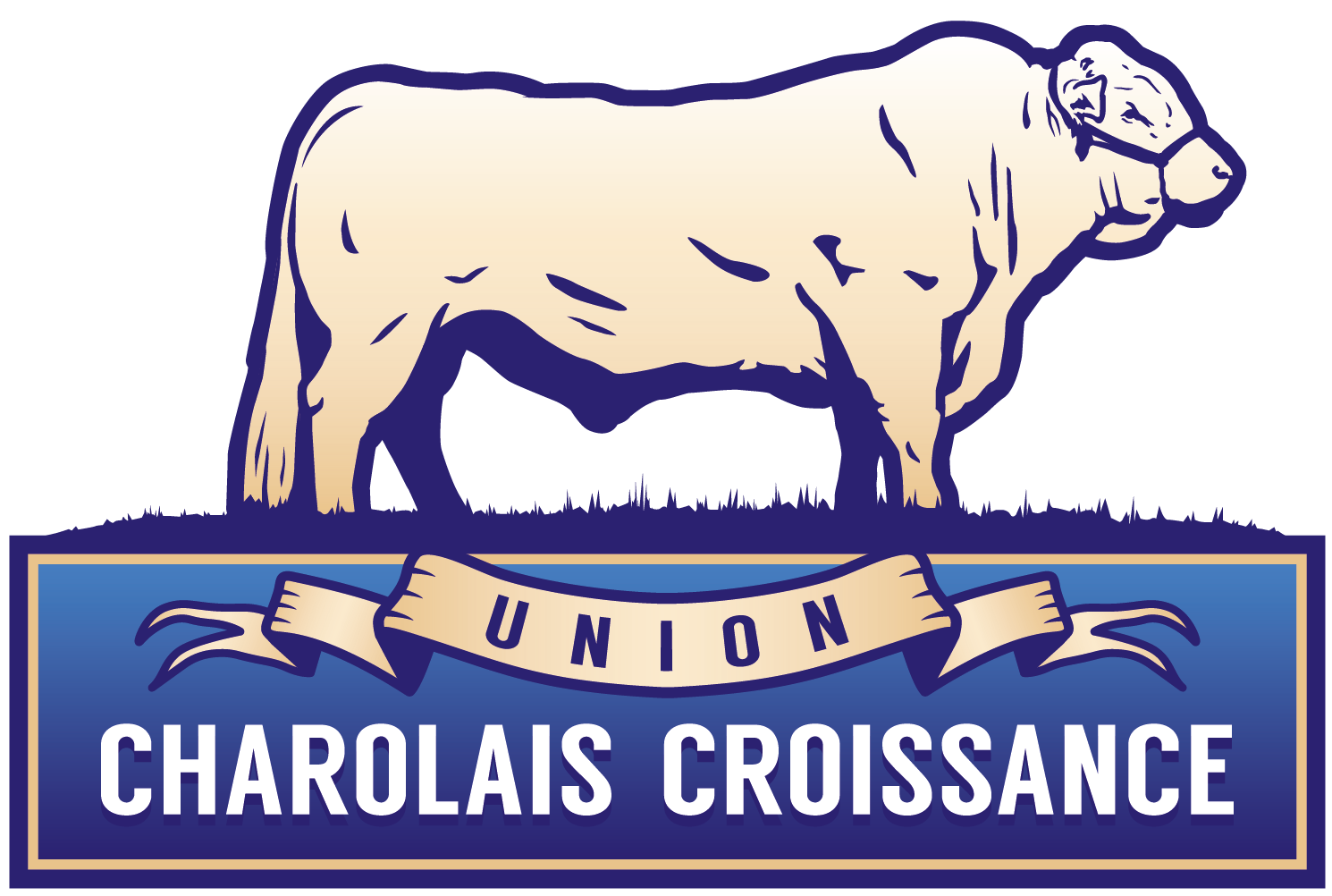 Charolais Croissance