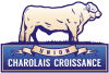 cropped-UCC-Logo-01-1.png